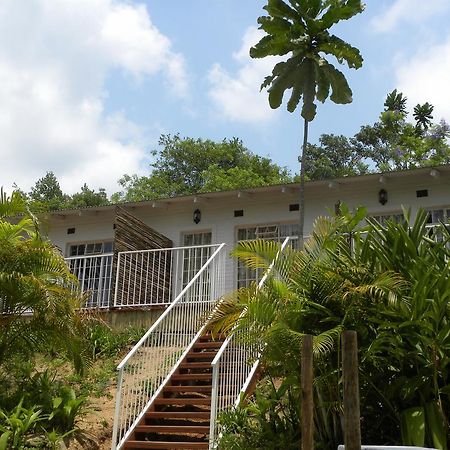 Bush Baby Glen Villa Хейзивю Стая снимка