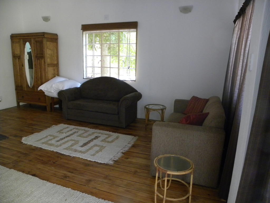 Bush Baby Glen Villa Хейзивю Стая снимка