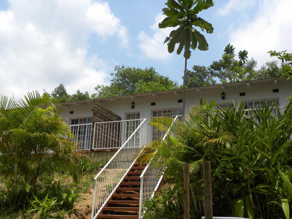 Bush Baby Glen Villa Хейзивю Стая снимка