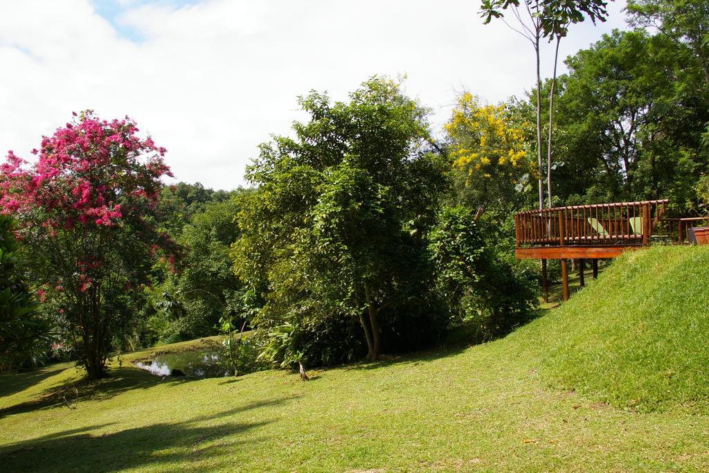 Bush Baby Glen Villa Хейзивю Екстериор снимка