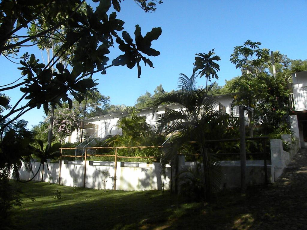 Bush Baby Glen Villa Хейзивю Стая снимка