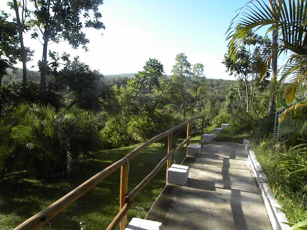 Bush Baby Glen Villa Хейзивю Екстериор снимка