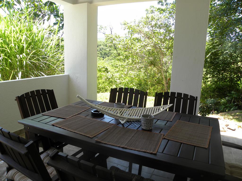 Bush Baby Glen Villa Хейзивю Стая снимка