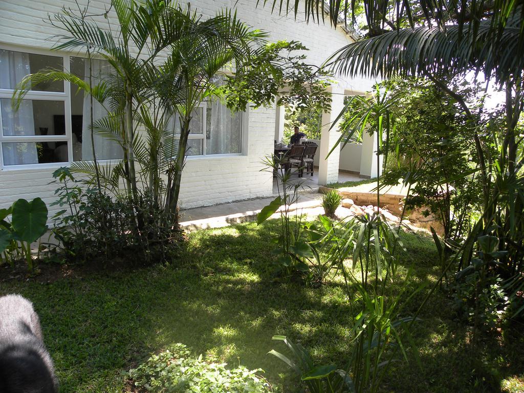 Bush Baby Glen Villa Хейзивю Екстериор снимка